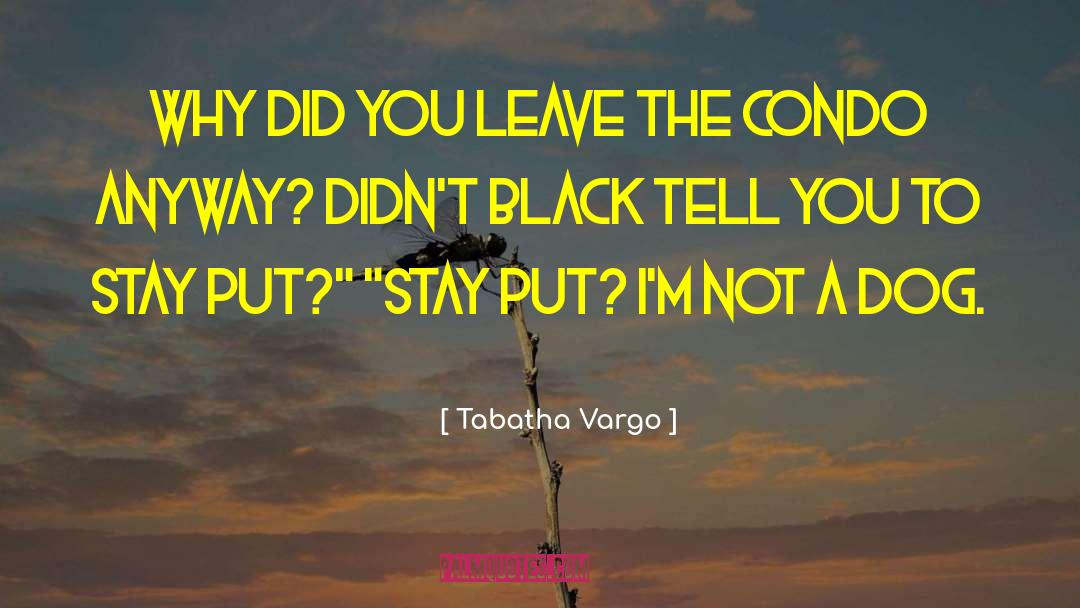 Tabatha Vargo Quotes: Why did you leave the