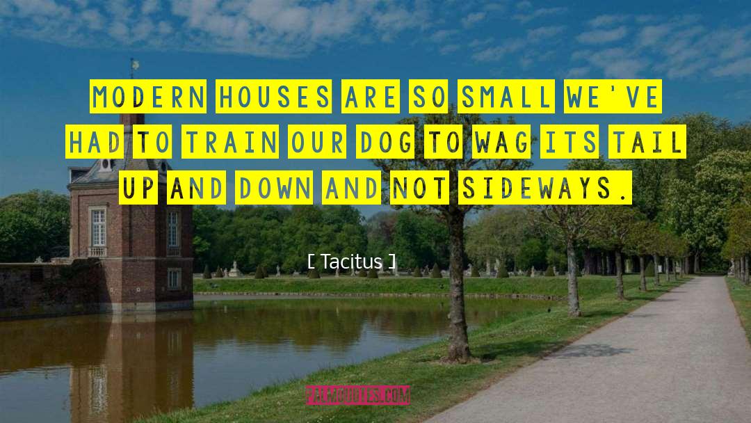 Tacitus Quotes: Modern houses are so small