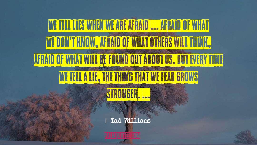 Tad Williams Quotes: We tell lies when we