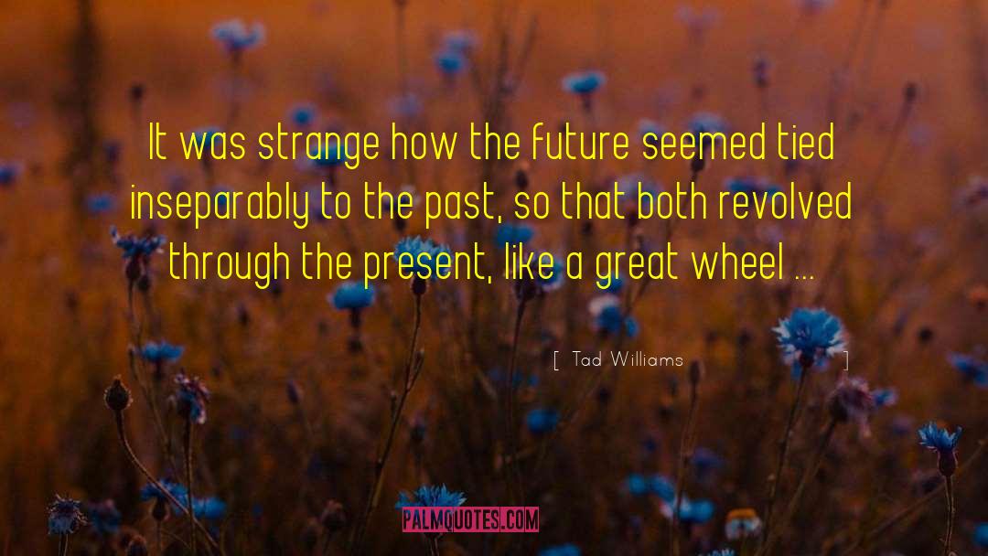 Tad Williams Quotes: It was strange how the