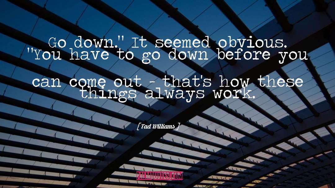 Tad Williams Quotes: Go down.