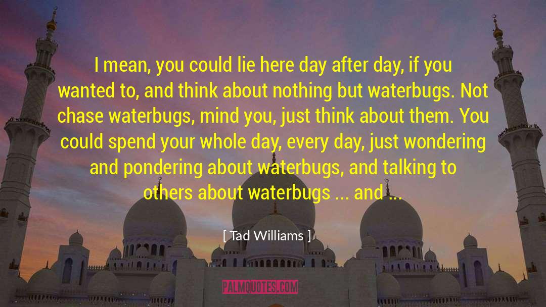 Tad Williams Quotes: I mean, you could lie