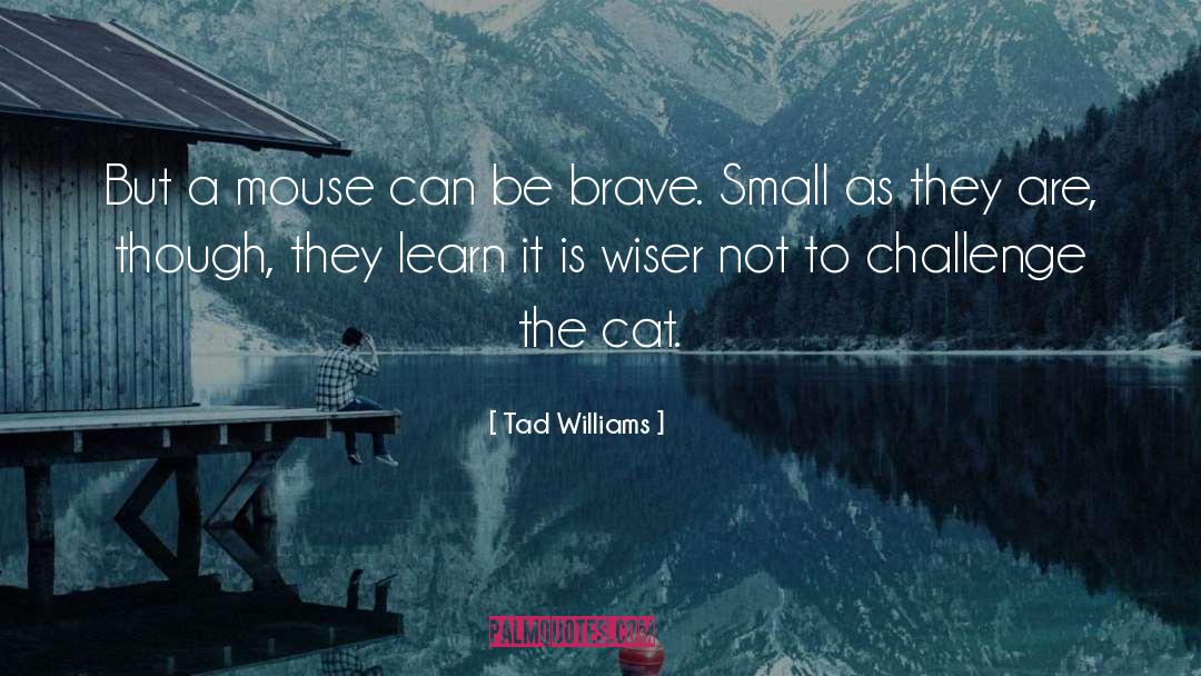 Tad Williams Quotes: But a mouse can be