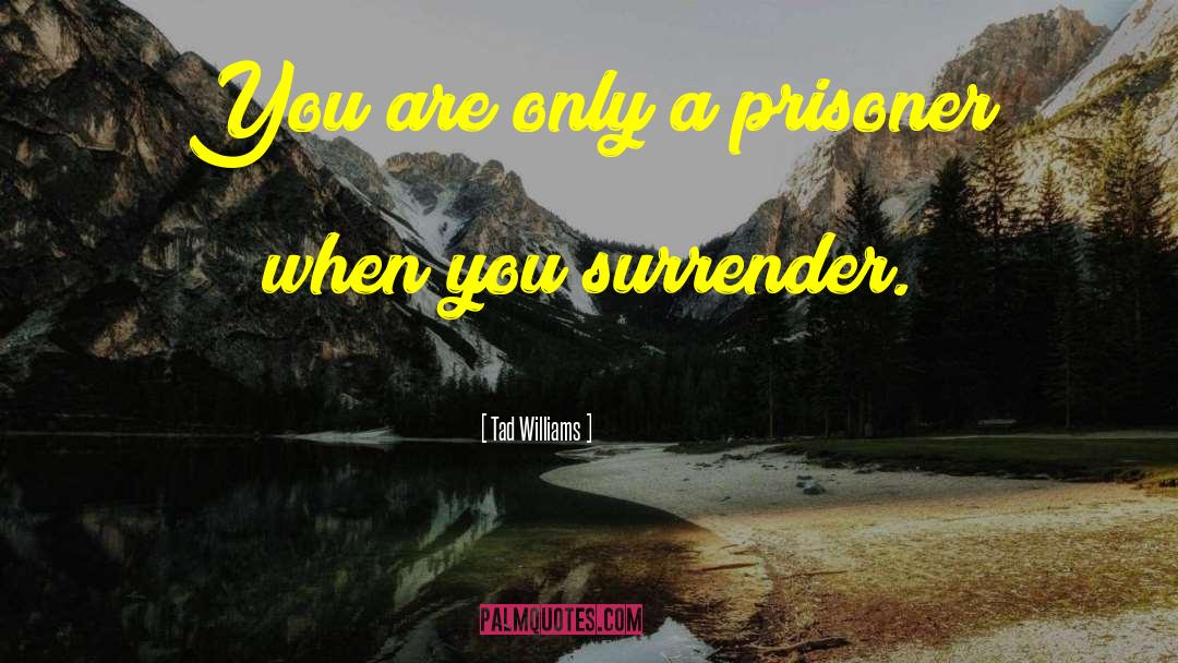 Tad Williams Quotes: You are only a prisoner