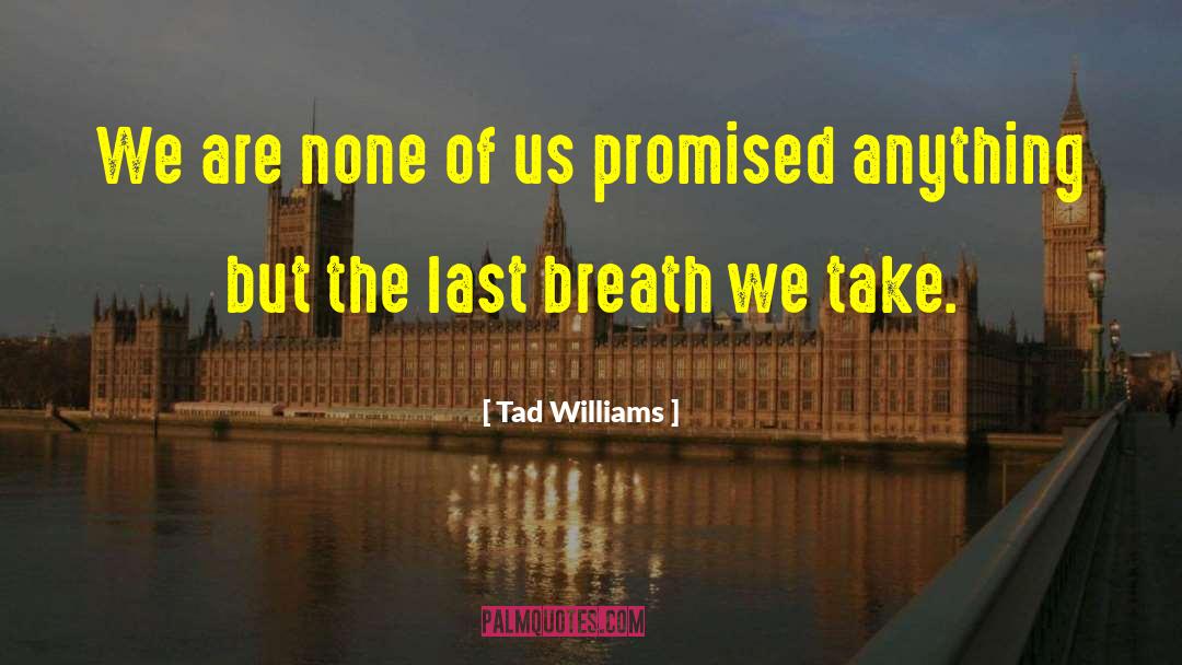 Tad Williams Quotes: We are none of us