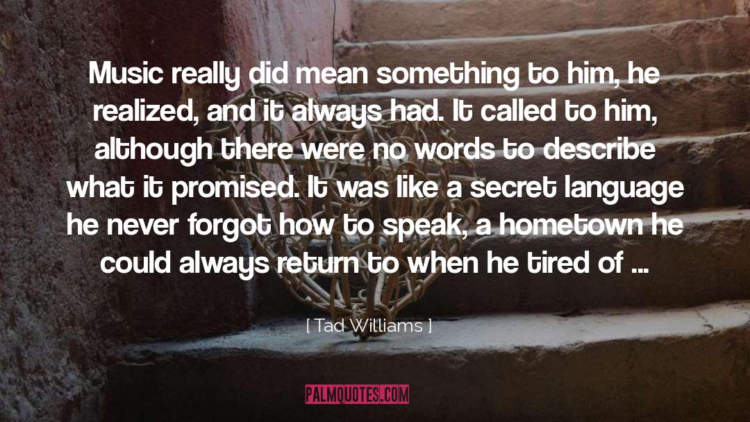 Tad Williams Quotes: Music really did mean something