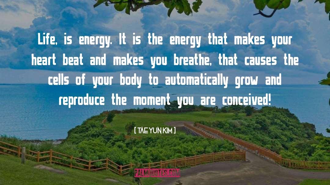 Tae Yun Kim Quotes: Life, is energy. It is