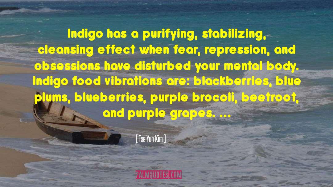 Tae Yun Kim Quotes: Indigo has a purifying, stabilizing,