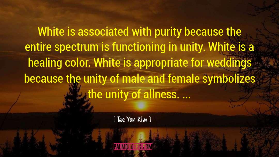 Tae Yun Kim Quotes: White is associated with purity