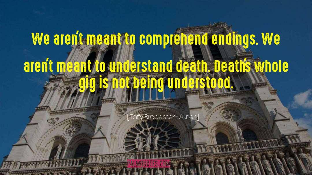 Taffy Brodesser-Akner Quotes: We aren't meant to comprehend