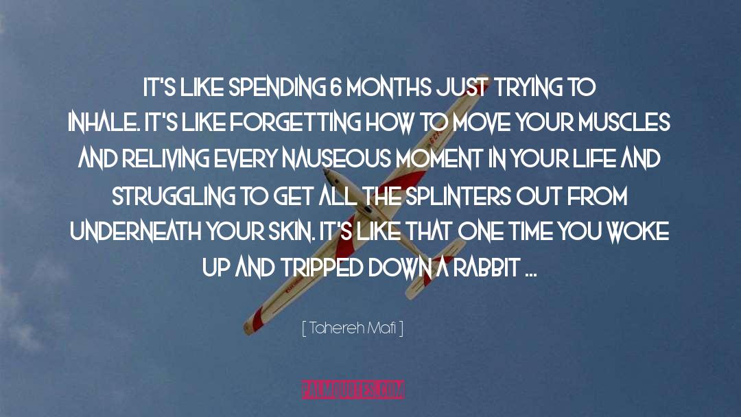 Tahereh Mafi Quotes: It's like spending 6 months