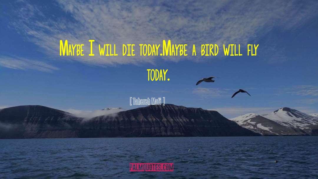 Tahereh Mafi Quotes: Maybe I will die today.<br