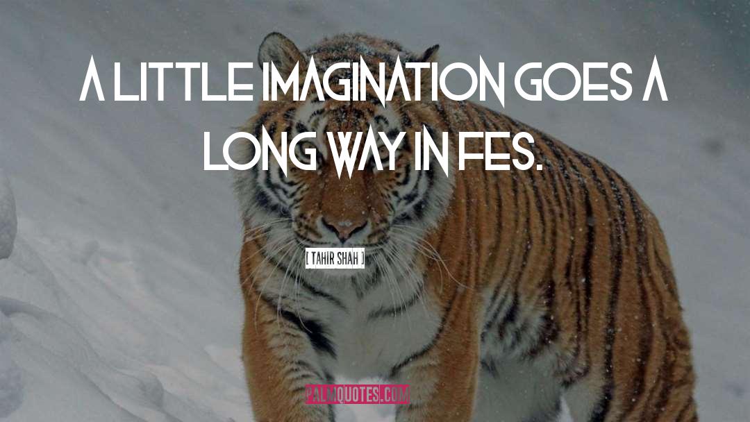 Tahir Shah Quotes: A little imagination goes a