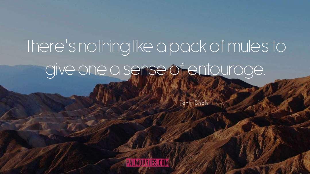 Tahir Shah Quotes: There's nothing like a pack