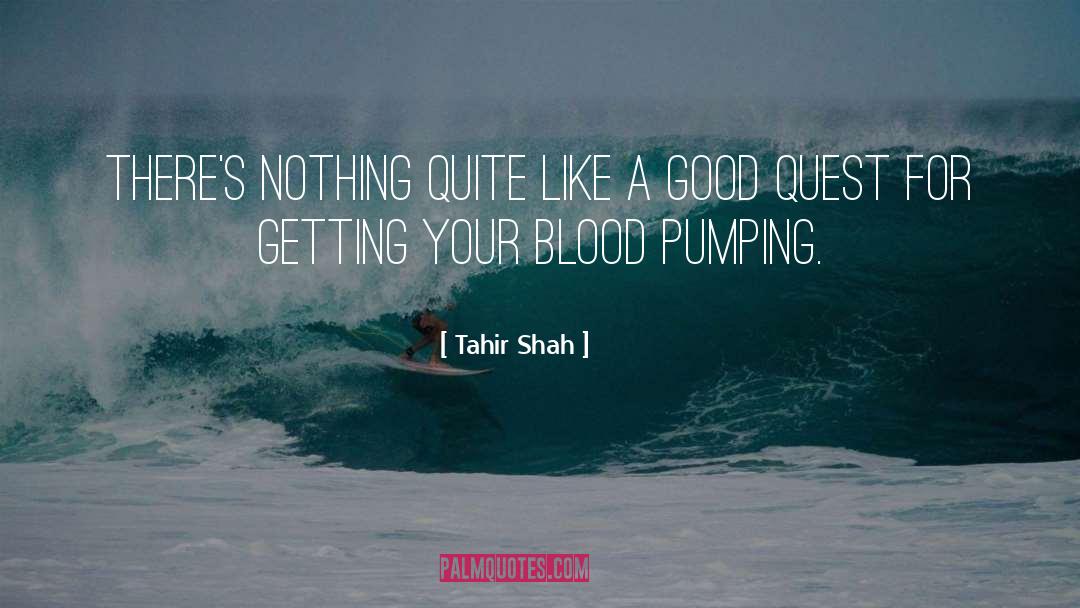 Tahir Shah Quotes: There's nothing quite like a