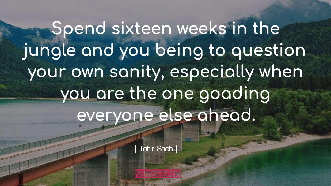 Tahir Shah Quotes: Spend sixteen weeks in the