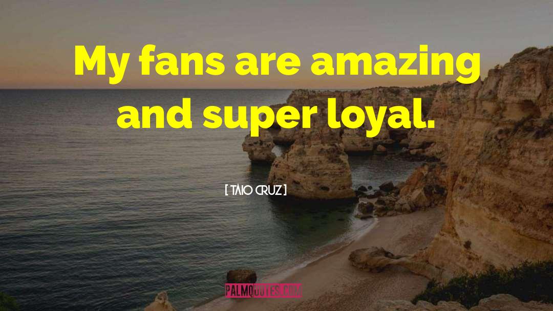 Taio Cruz Quotes: My fans are amazing and