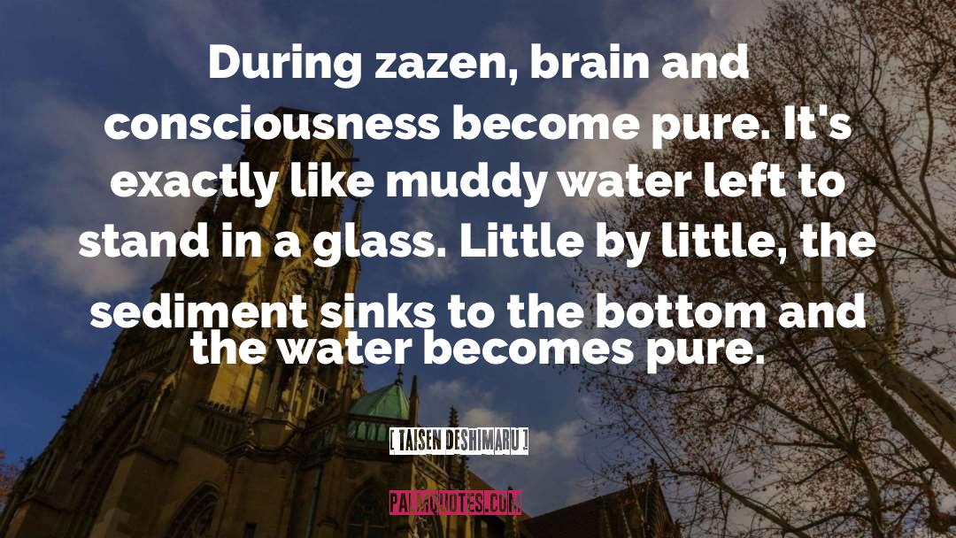 Taisen Deshimaru Quotes: During zazen, brain and consciousness