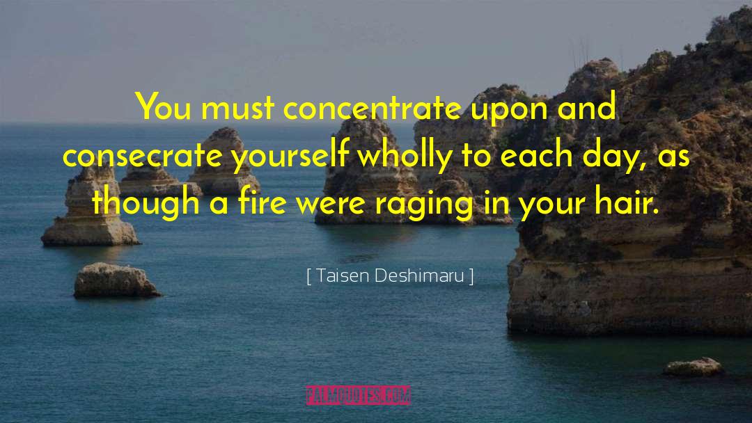 Taisen Deshimaru Quotes: You must concentrate upon and