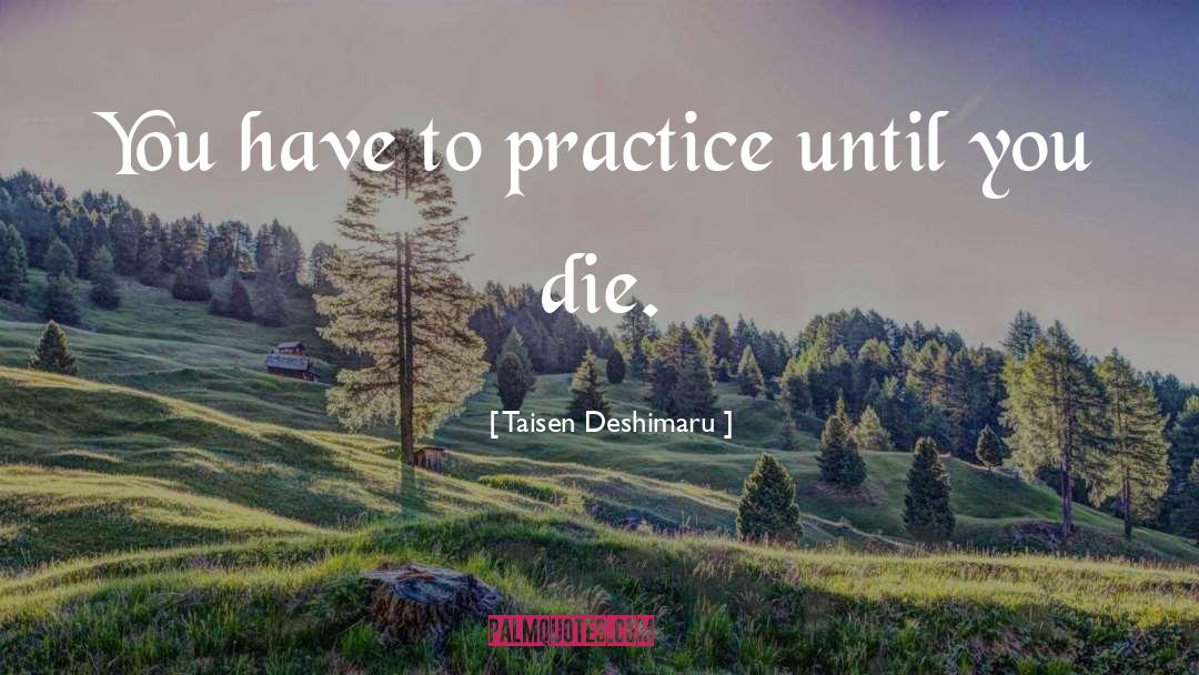 Taisen Deshimaru Quotes: You have to practice until