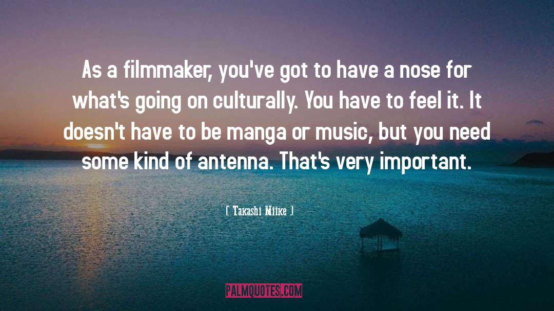 Takashi Miike Quotes: As a filmmaker, you've got