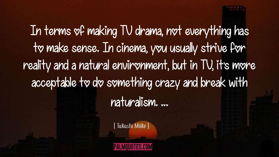 Takashi Miike Quotes: In terms of making TV