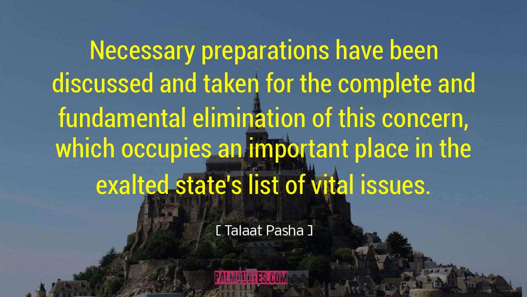 Talaat Pasha Quotes: Necessary preparations have been discussed