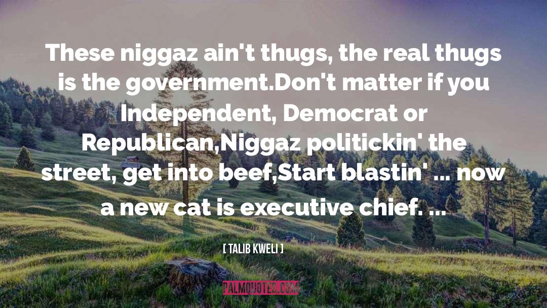 Talib Kweli Quotes: These niggaz ain't thugs, the