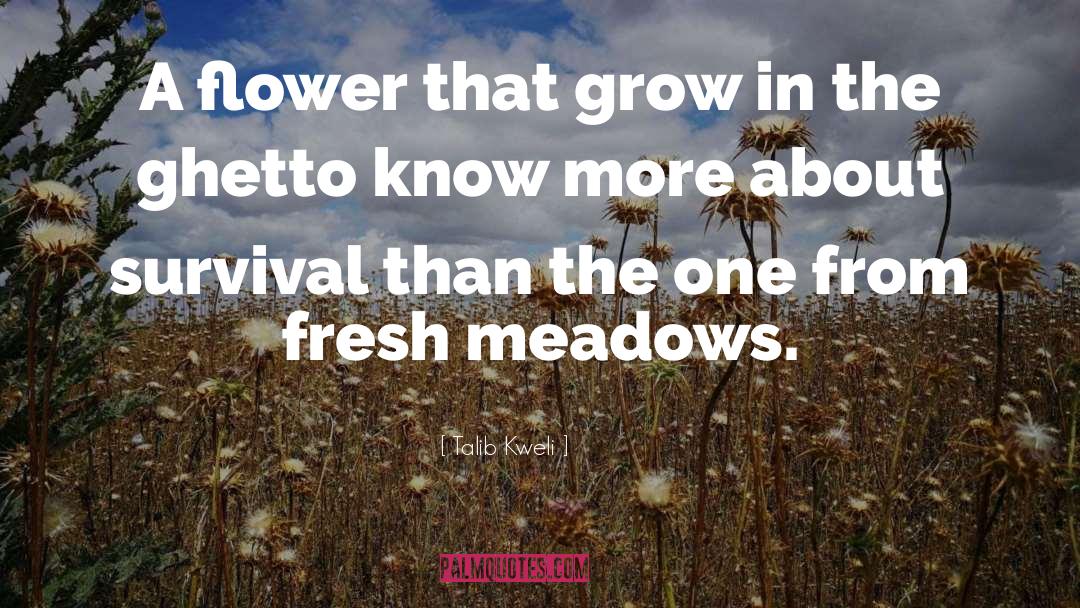 Talib Kweli Quotes: A flower that grow in