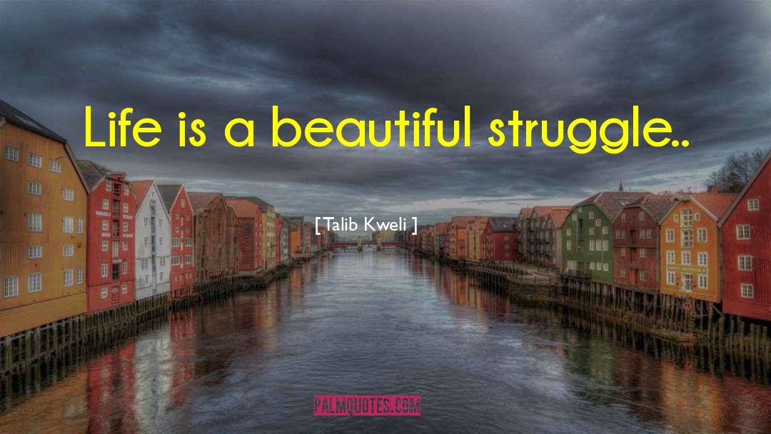 Talib Kweli Quotes: Life is a beautiful struggle..