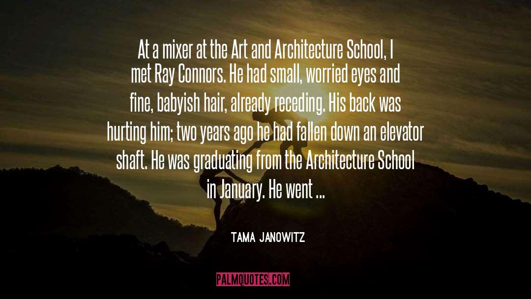 Tama Janowitz Quotes: At a mixer at the