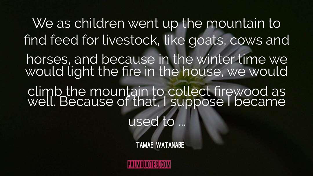 Tamae Watanabe Quotes: We as children went up