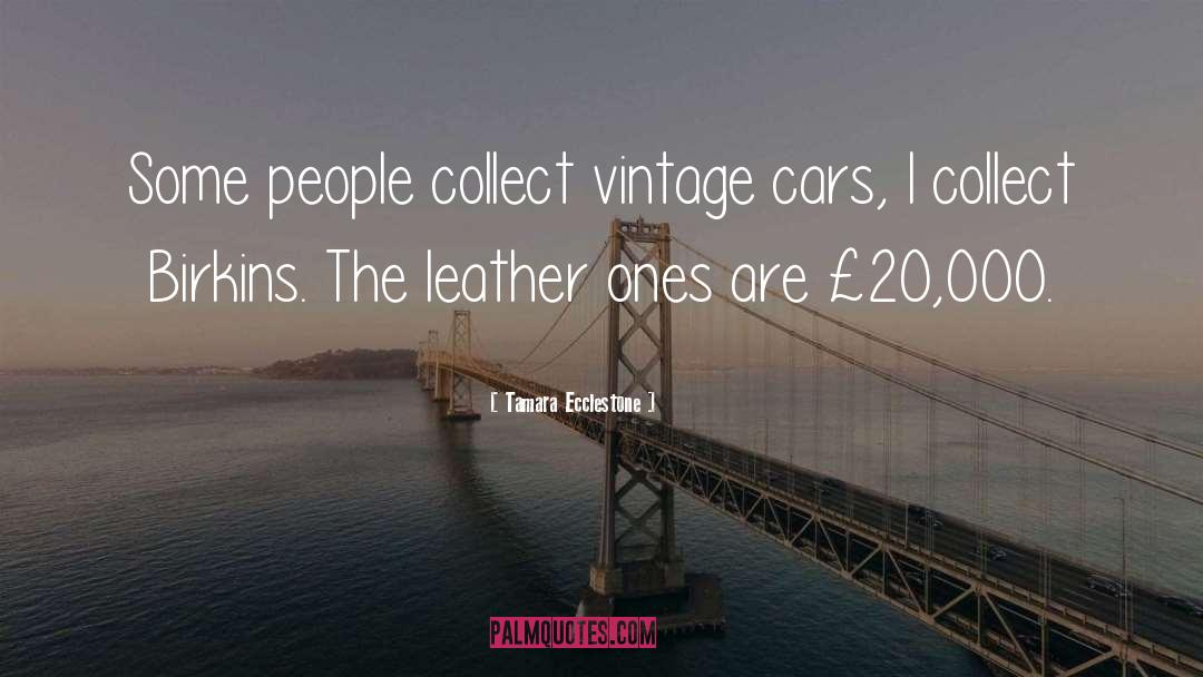 Tamara Ecclestone Quotes: Some people collect vintage cars,