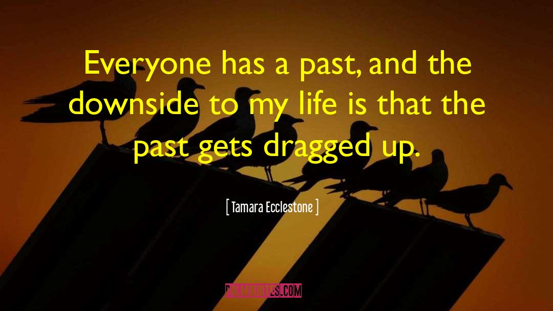 Tamara Ecclestone Quotes: Everyone has a past, and