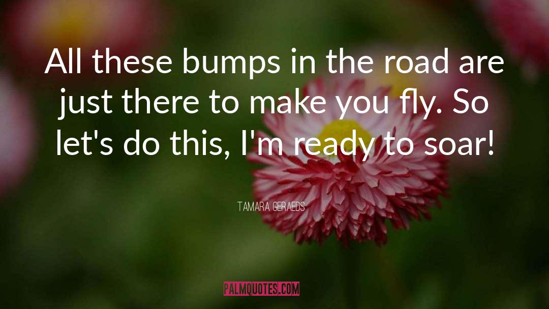 Tamara Geraeds Quotes: All these bumps in the