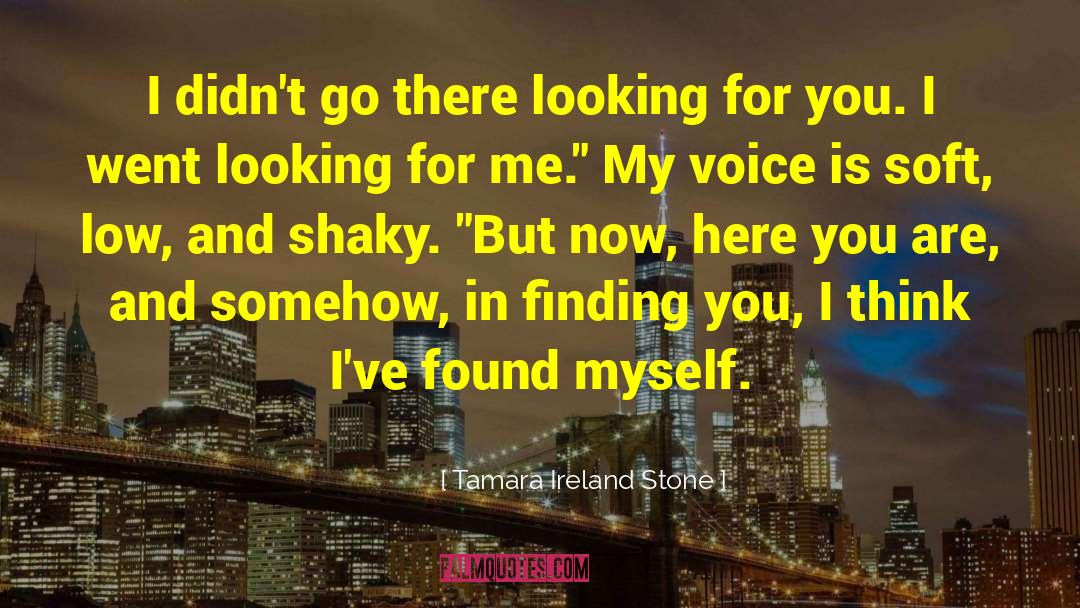 Tamara Ireland Stone Quotes: I didn't go there looking