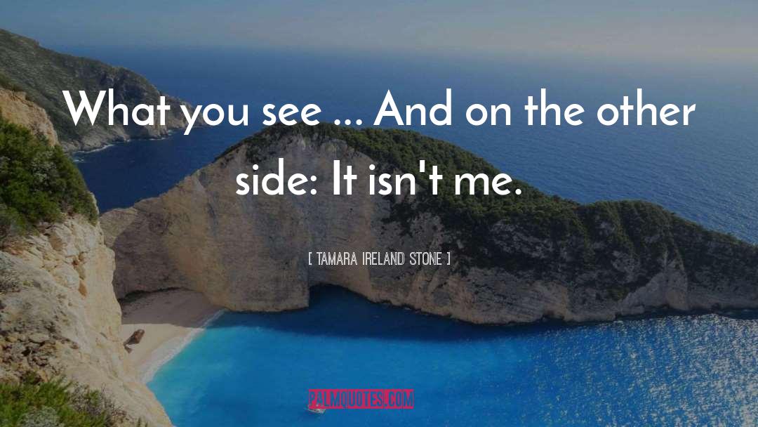 Tamara Ireland Stone Quotes: What you see ... And