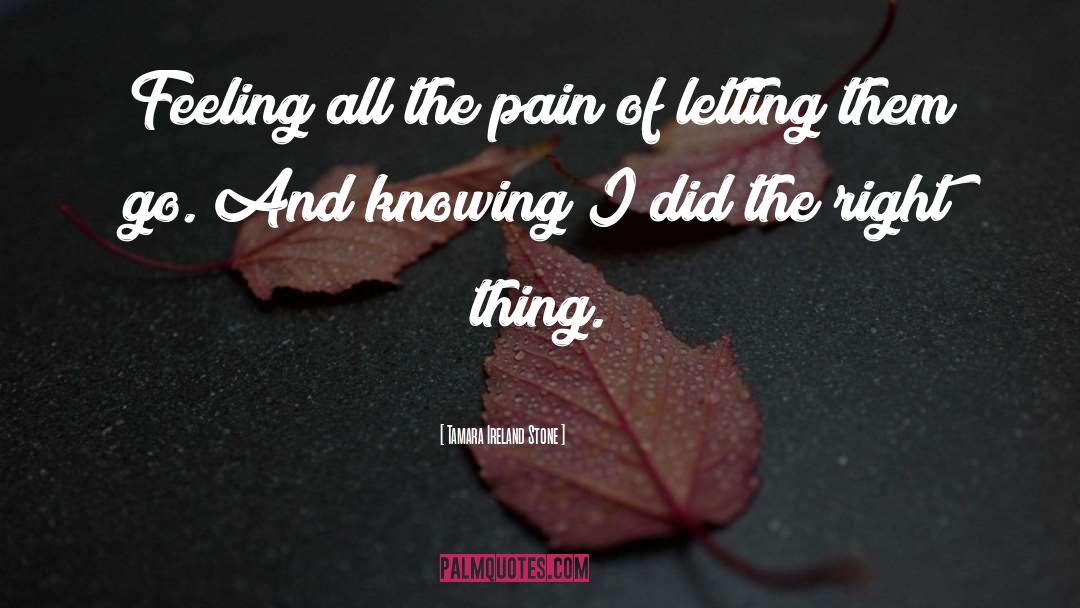 Tamara Ireland Stone Quotes: Feeling all the pain of