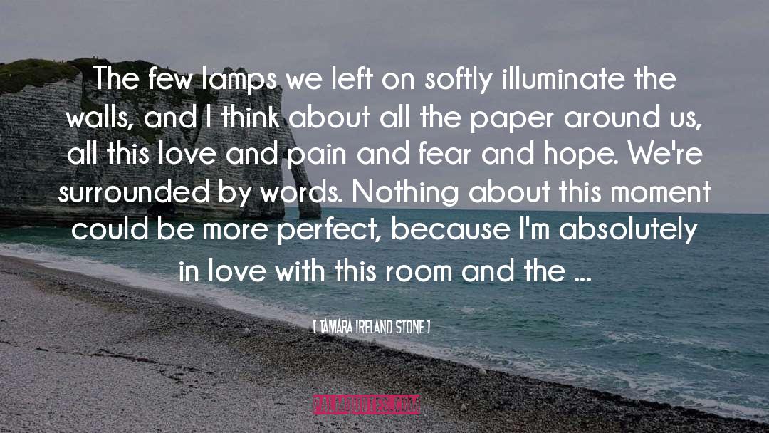 Tamara Ireland Stone Quotes: The few lamps we left