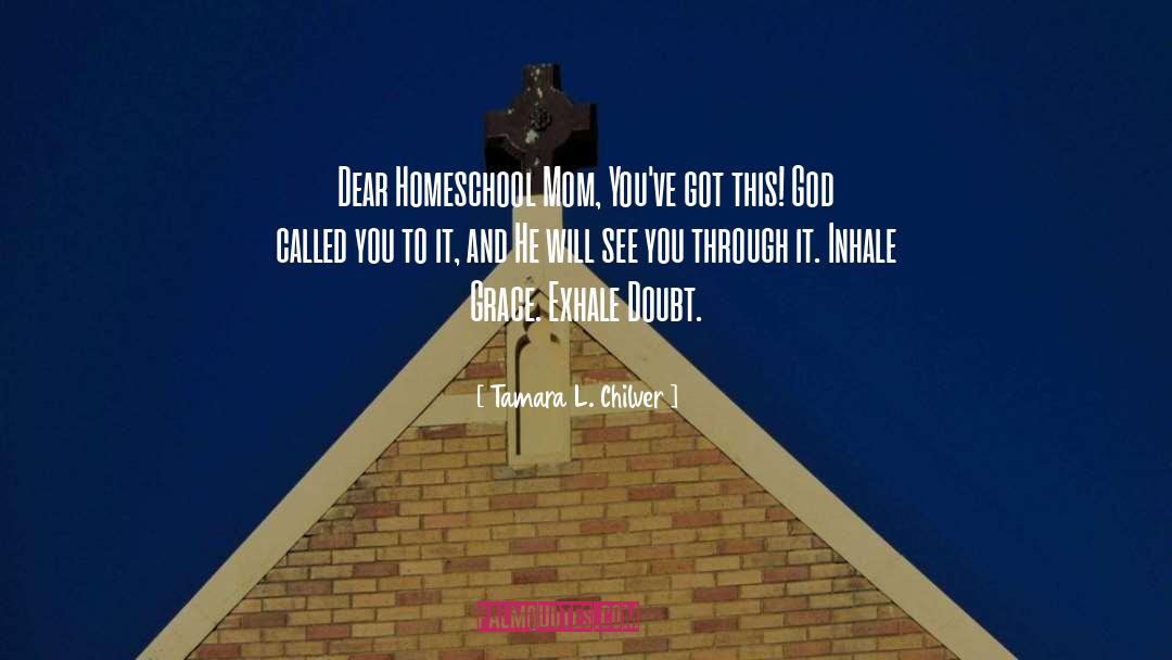 Tamara L. Chilver Quotes: Dear Homeschool Mom, You've got