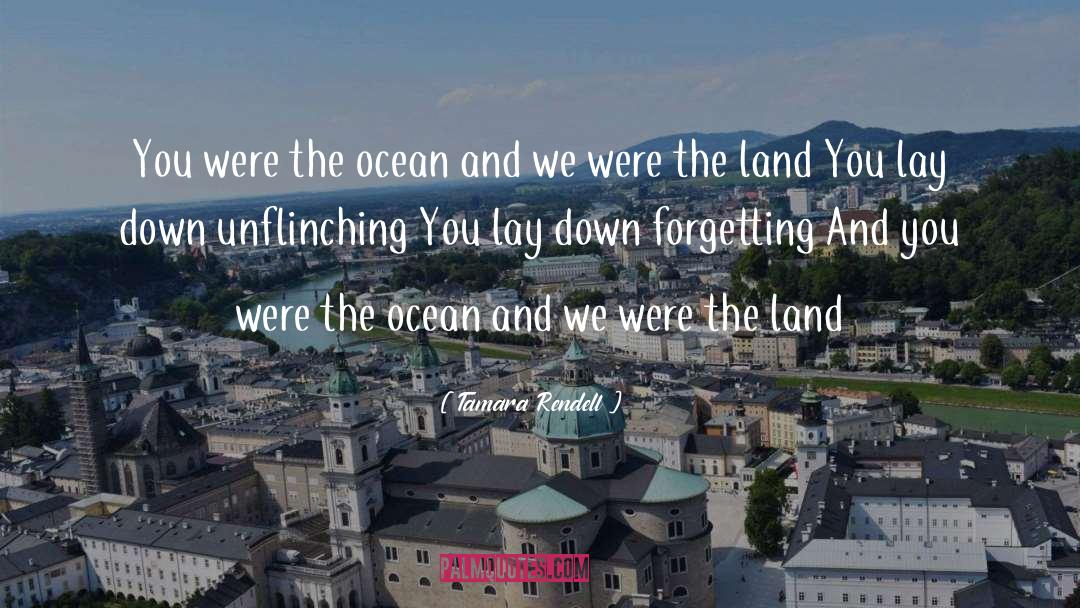 Tamara Rendell Quotes: You were the ocean <br