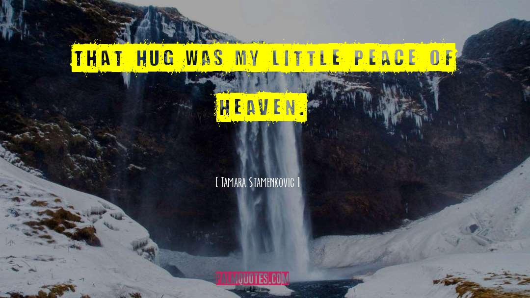 Tamara Stamenkovic Quotes: That hug was my little