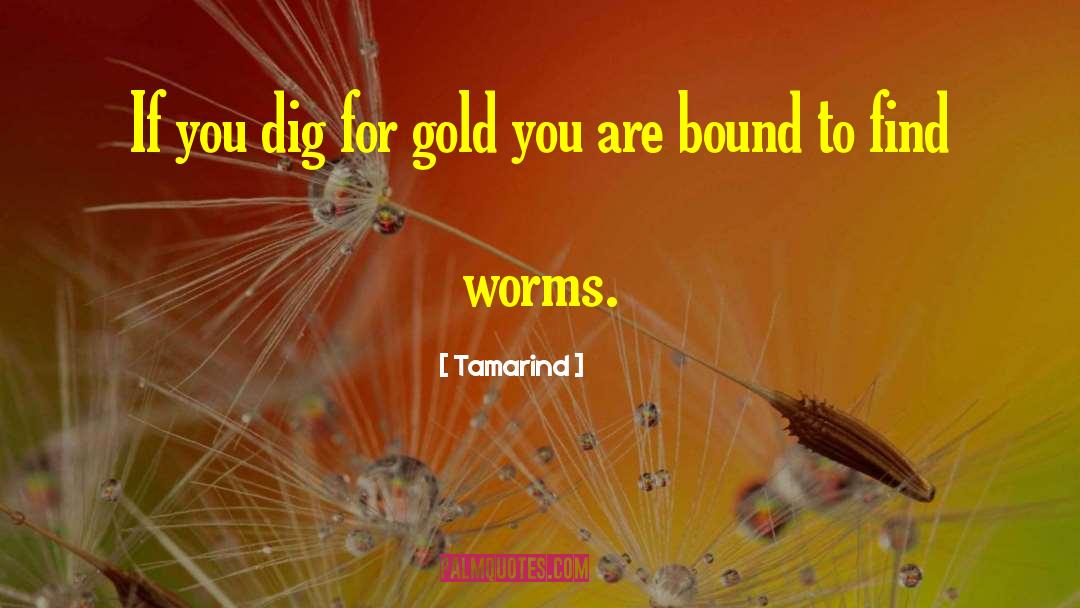 Tamarind Quotes: If you dig for gold