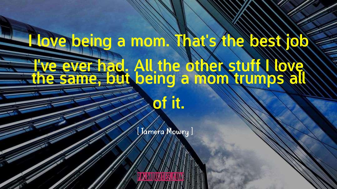 Tamera Mowry Quotes: I love being a mom.