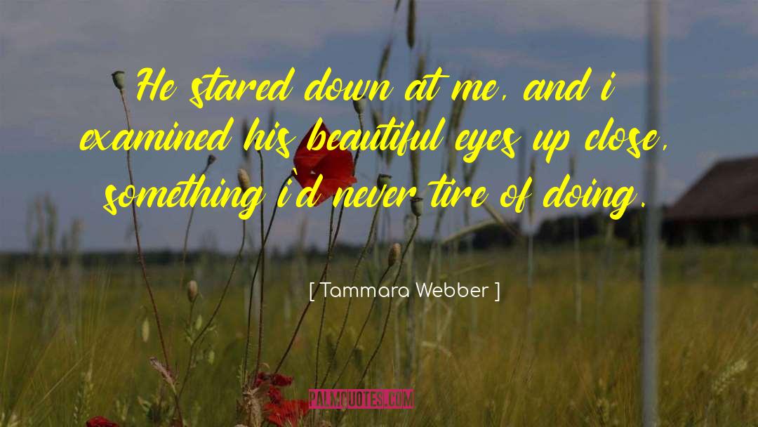 Tammara Webber Quotes: He stared down at me,