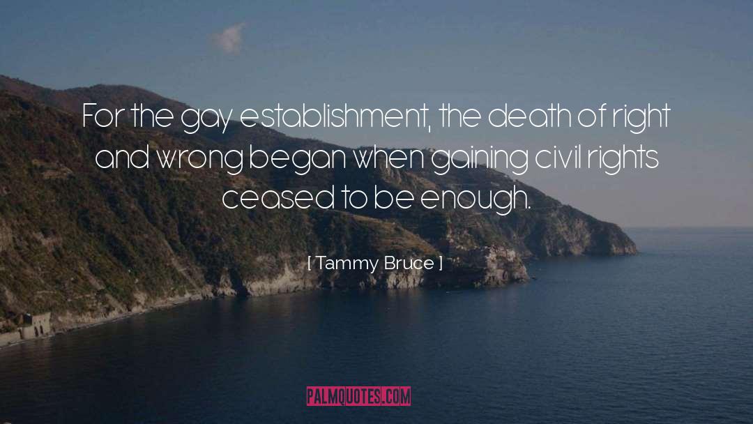 Tammy Bruce Quotes: For the gay establishment, the