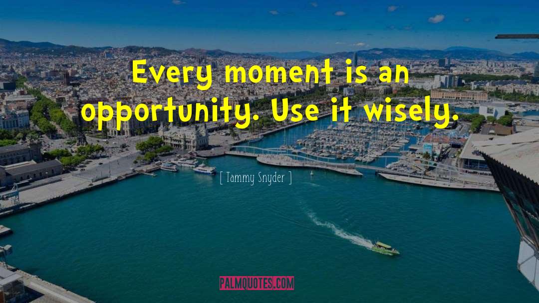 Tammy Snyder Quotes: Every moment is an opportunity.