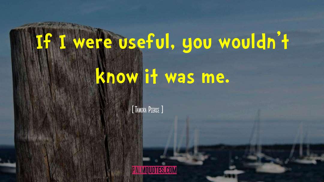 Tamora Pierce Quotes: If I were useful, you