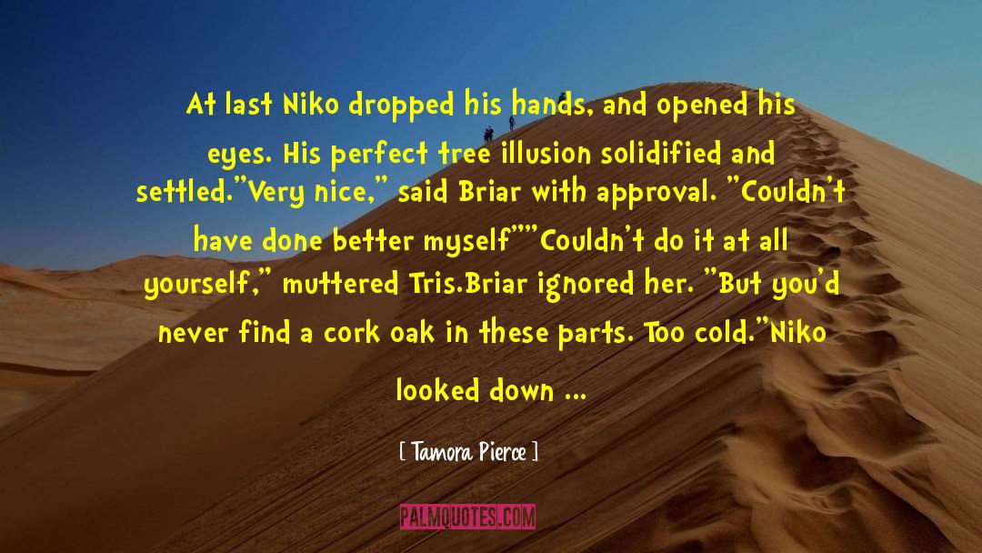 Tamora Pierce Quotes: At last Niko dropped his