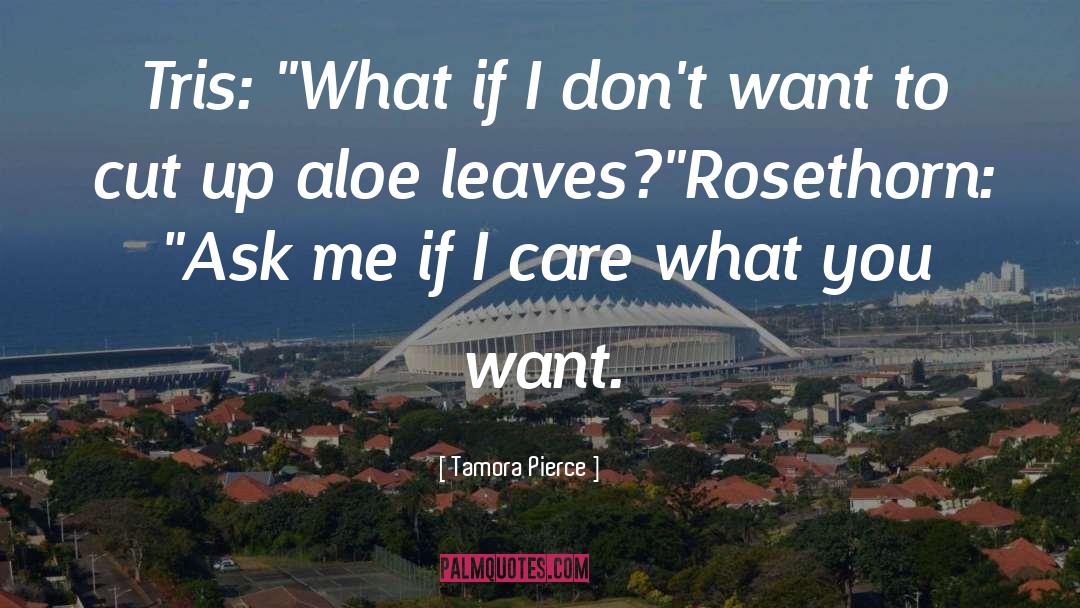 Tamora Pierce Quotes: Tris: 